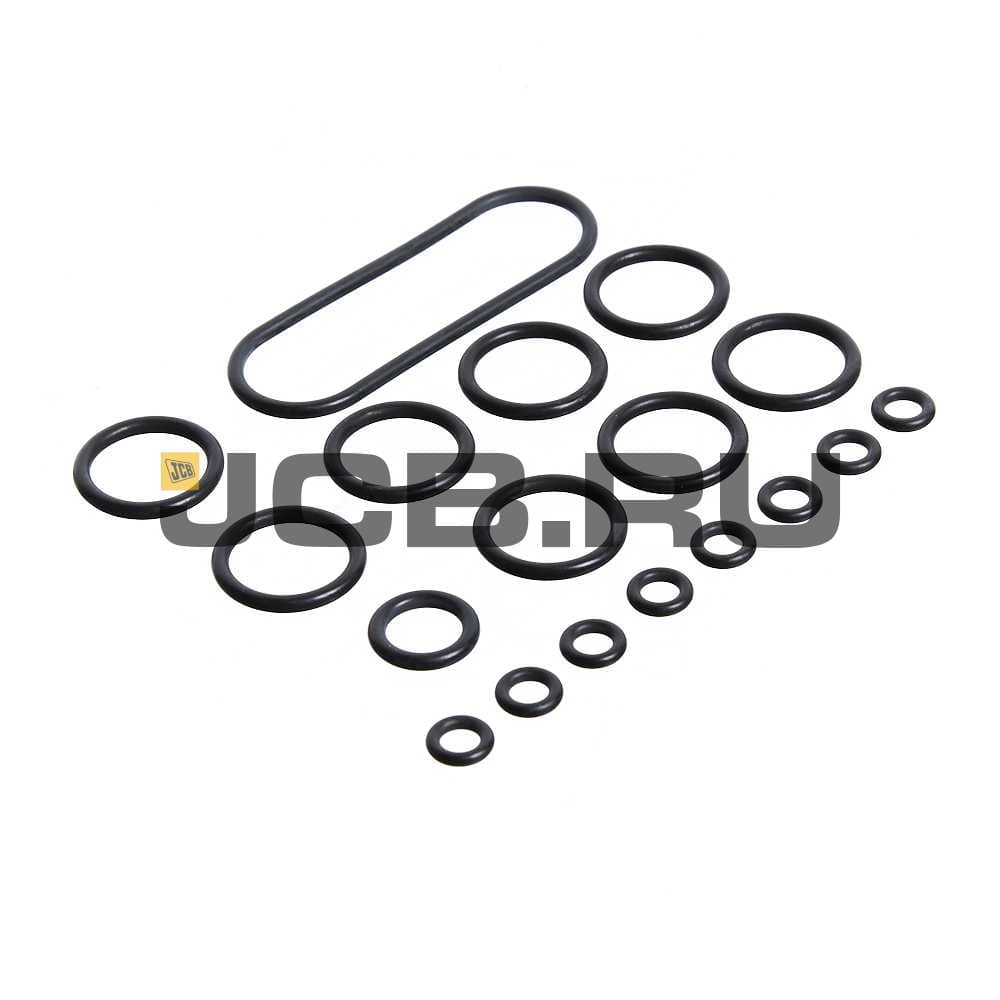 Комплект уплотнений JCB 25/954205