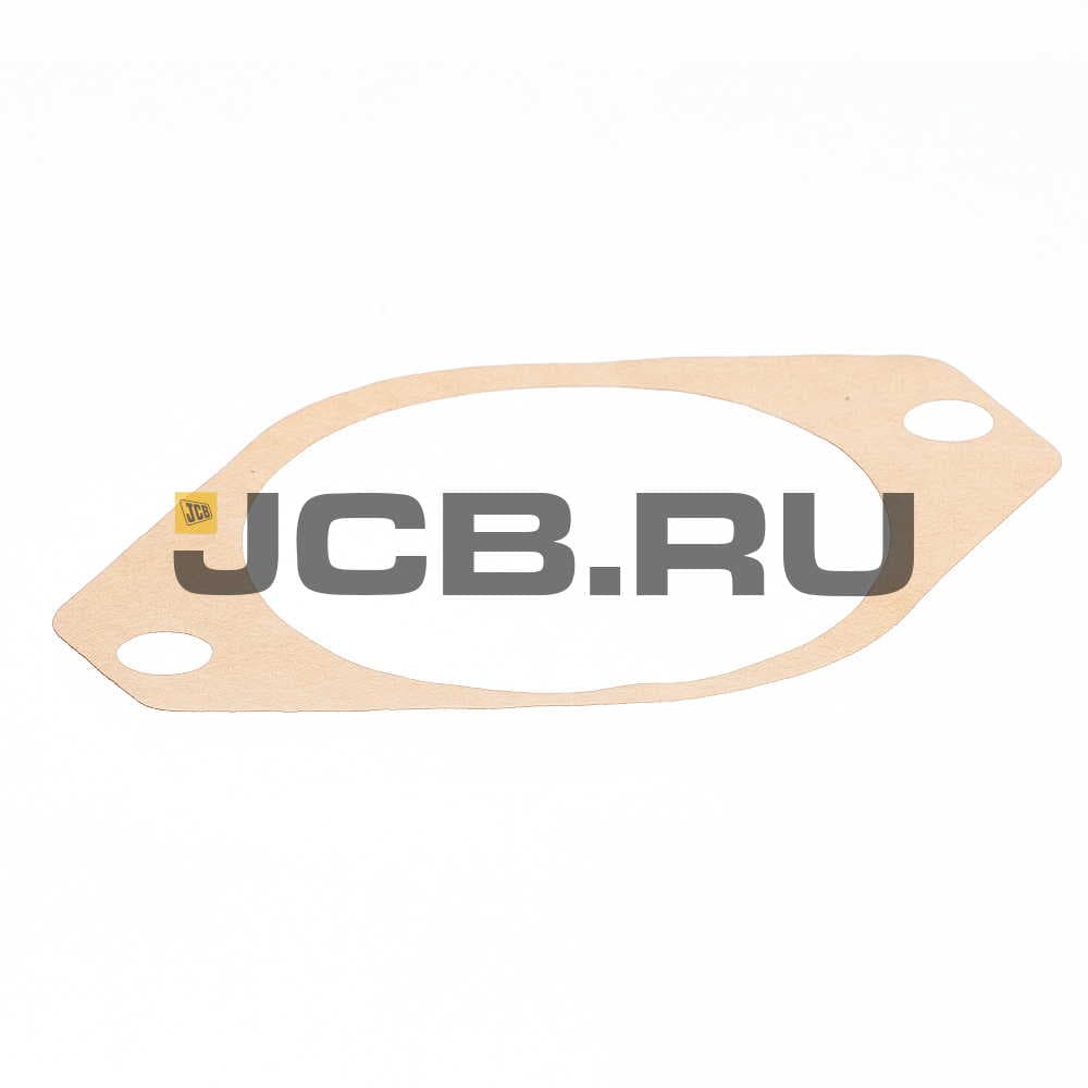 Прокладка насоса JCB 813/10206